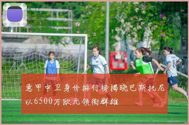 意甲中卫身价排行榜揭晓巴斯托尼以6500万欧元领衔群雄