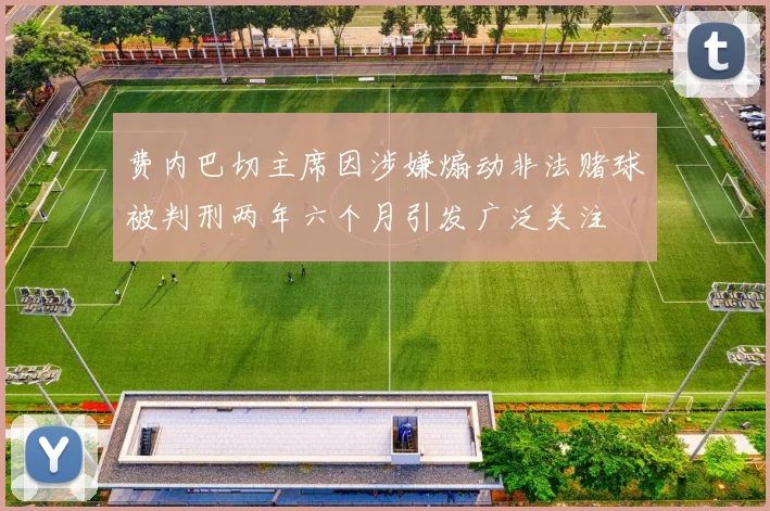 费内巴切主席因涉嫌煽动非法赌球被判刑两年六个月引发广泛关注