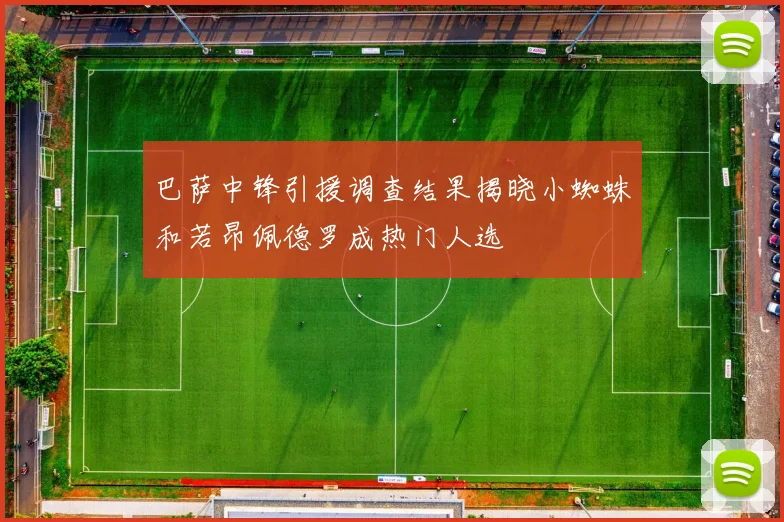 巴萨中锋引援调查结果揭晓小蜘蛛和若昂佩德罗成热门人选