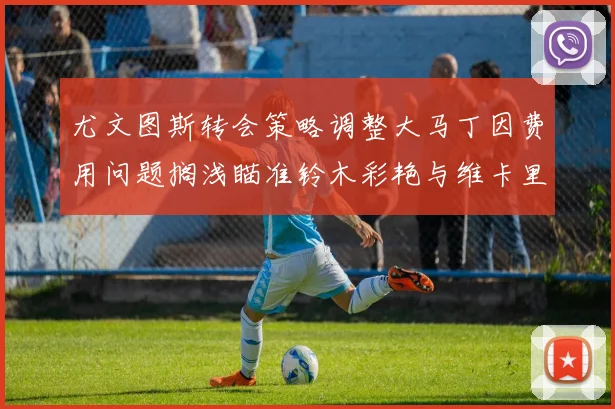 尤文图斯转会策略调整大马丁因费用问题搁浅瞄准铃木彩艳与维卡里奥